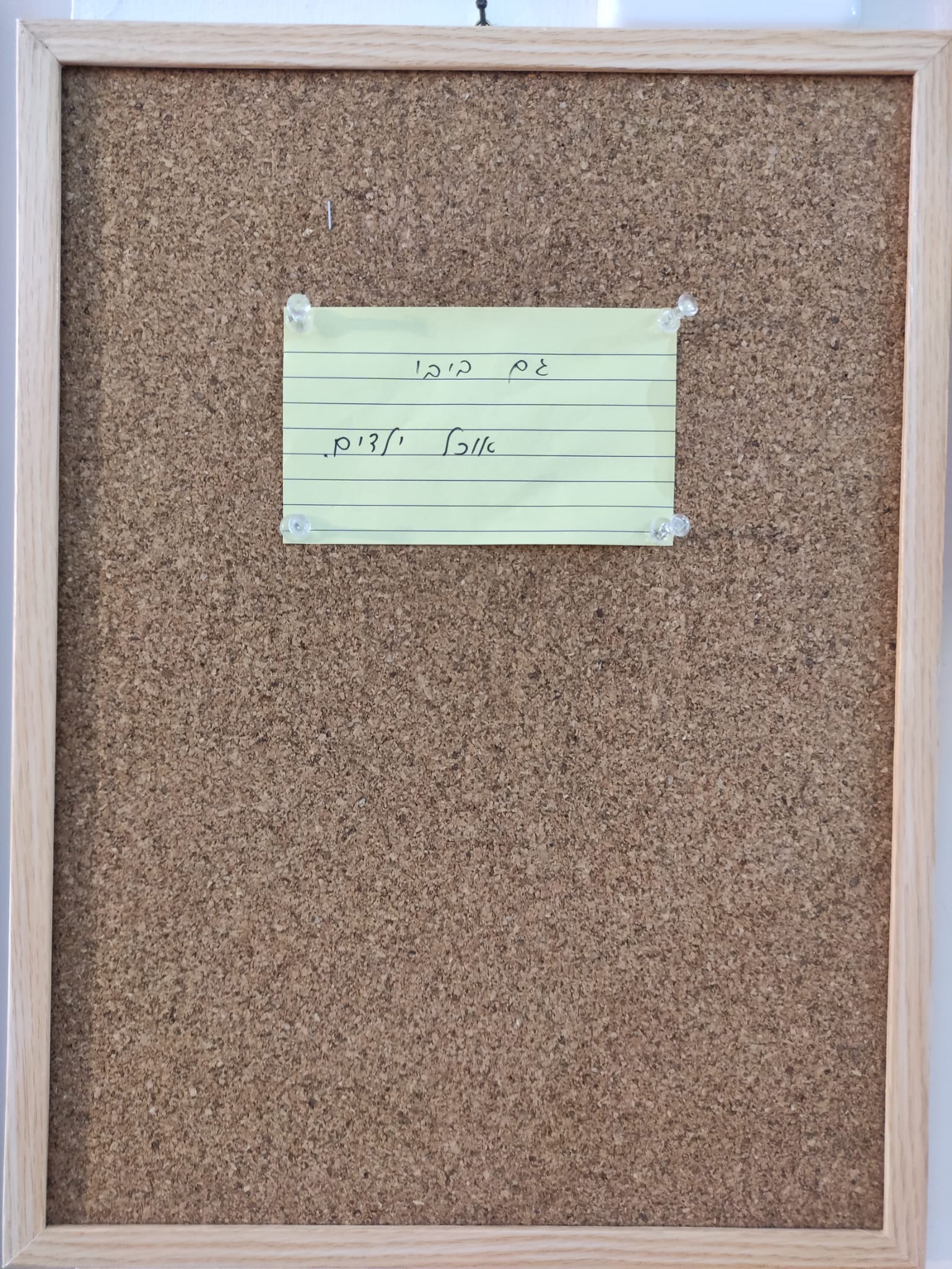 "גם ביבי אוכל ילדים, מחווה לדויד ריב", דוריה שרה