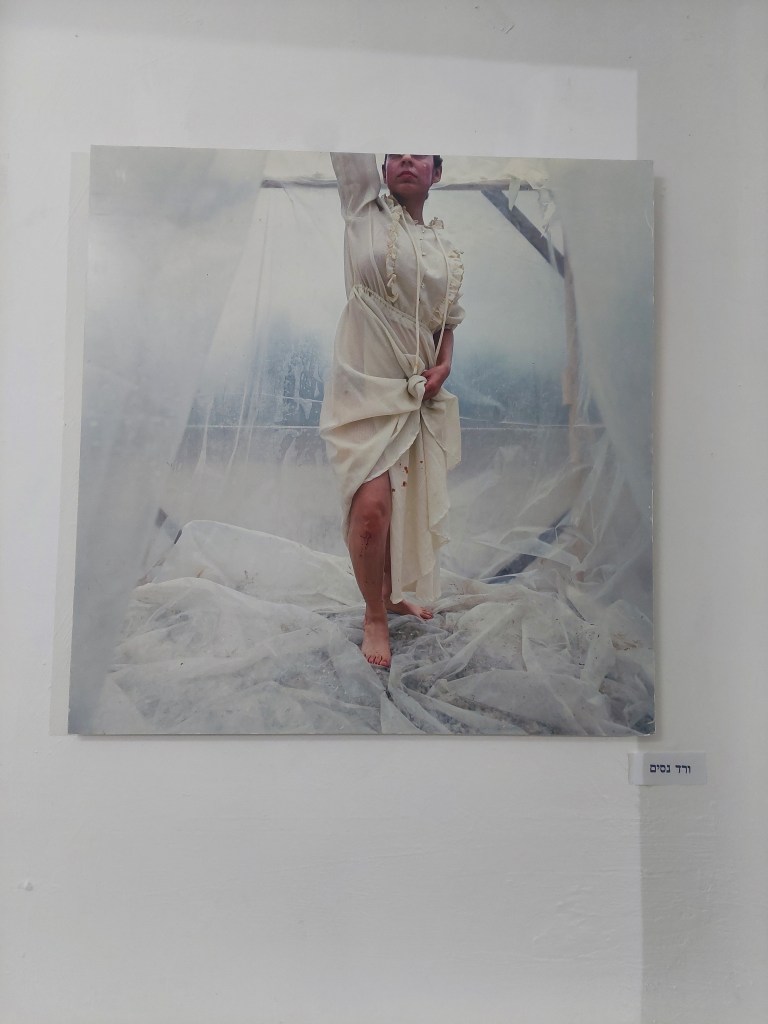 ורד נסים חירות, 2004