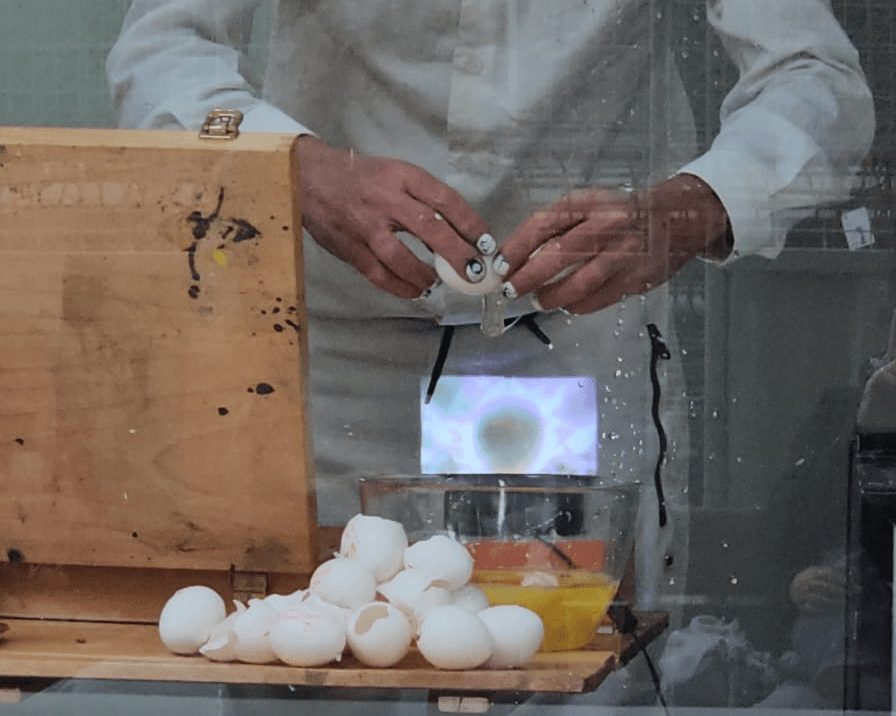 פרומיתאוס, פרפורמנס זִינוֹמוֹרָה