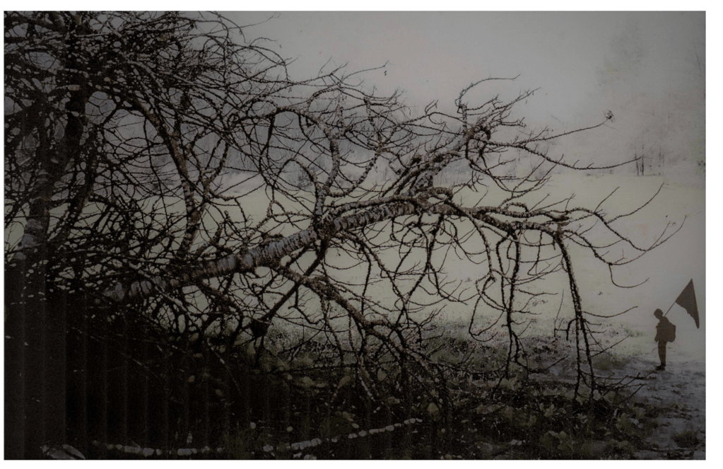 אלטר ליברמן